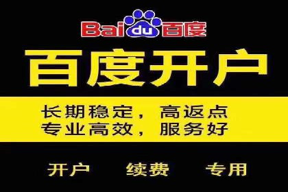 百度推广全解析：某公司如何通过推广获得高流量